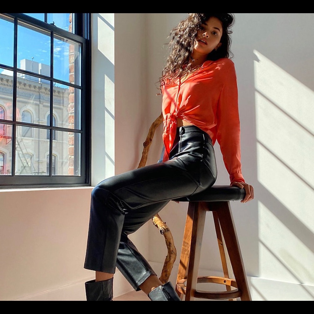 Aritzia rebel pants